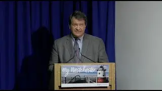 WESTCHESTER COUNTY WIDE  SHARED SERVICE PLAN