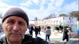 Свято весняного рівнодення в парку Уєна в Токіо