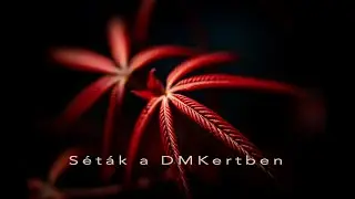 Tavaszi séták a DMKertben..