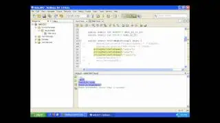 JDK 7 Project Coin Features in NetBeans IDE 7.0 Beta