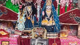 🌸 Sanwariya Seth Ji Ke Darshan #SanwariyaSeth#SanwariyaSethMandir#SanwariyaSethJi#Gaushala