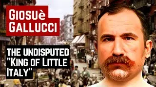 GIOSUÈ GALLUCCI THE UNDISPUTED 
