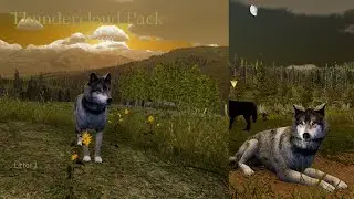 Thundercloud Pack - Rune L1 - Raise Pups [WolfQuest Saga]