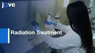 Radiation Treatment Organotypic Cultures | Protocol Preview