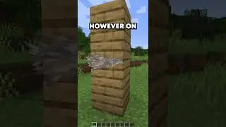 Coral Fan Differences in Minecraft Bedrock Edition vs Java