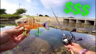 Why This Lure is WORTH $110 -- City Pond Fishing with BIG Baits!