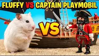 Hamster Pirate Adventure | Treasure Hunt