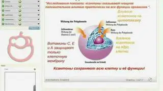 XANGO  JUICE (мощный антиоксидант)
