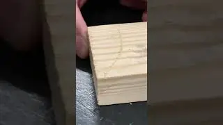 Pine wood scratch test