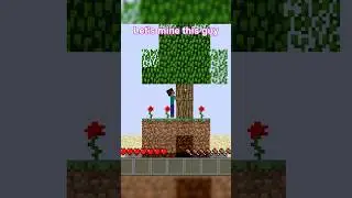 Minecraft but it's 2D