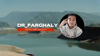 طرشمة pdf الكليه هستولوجي عملي🔬🧬