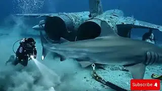  A Legendary F-14 Tomcat Reappears From the Sea 😱