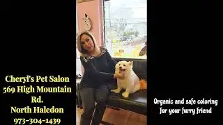 Creative Grooming at Cheryls Pet Salon