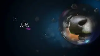 🐄 &iquest;Las vacas tienen 4 est&oacute;magos? | Ciencia en Breve