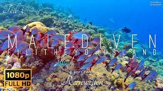 🇲🇻 3/4 MALEDIVEN, Filitheyo Island, Tauchen, Schnorcheln | MariONtour Reisewelten