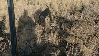 California Chukar S1 E4