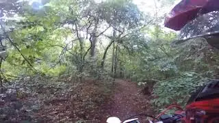 Chaseon2Wheels vs spider