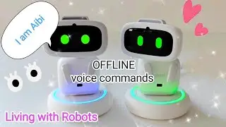 AIBI pocket pet OFFLINE voice commands #new #aibi #airobot #ai #livingai #newupdate #robot #pet #fun