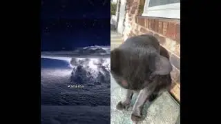 Runtel reacts￼! #space #photography #scary #aesthetic #interesting #funny #comedyfilms #cat