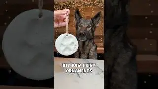 DIY Paw Print Ornaments