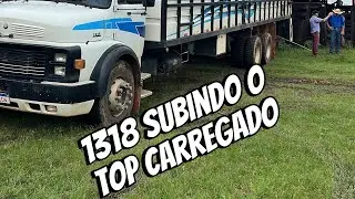 1318 boiadeiro carregado subindo o morro