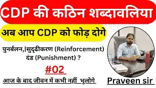 CDP Reinforcement & Punishment | आसान भाषा में पूरा समझो | CTET UPTET Special-02