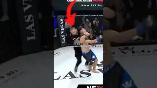 The craziest MMA referee ever🥶🫡 #ufc #mma #referee #crazy