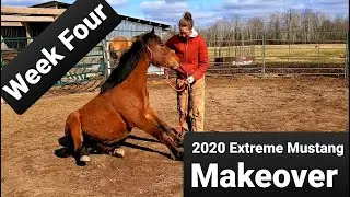 2020 Extreme Mustang Makeover | Week Four