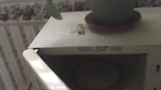 Ball Microwave Tennis Thing