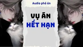 [ TRUYỆN AUDIO ] Vụ án hết hạn (Full) | Rắn Audio #truyenaudio #audio #pháán