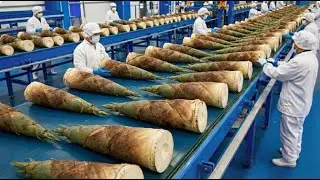 Inside the World’s Largest Sour Bamboo Shoot Factory | From Fresh Shoots to Fermented Perfection