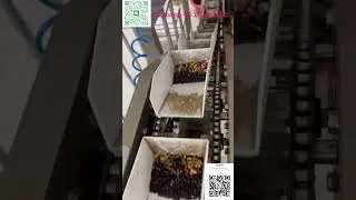 Make Every Tea Bag Perfectly Crafted!