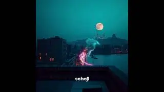 Sohoji: A Digital Craft Narrative
