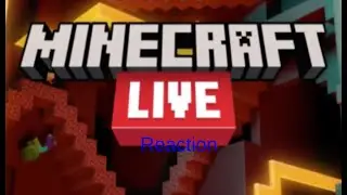 Minecraft Live 2021 Announcement Trailer Reaction