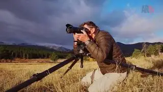 Wildlife Photography | Aperture Priority  | ARTV