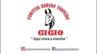 #9- CONHECIMENTO TROPEIRO