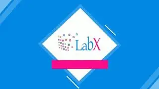 LabX IVD