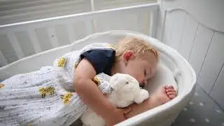 Bebamour Cotton Baby Nest Pod 0-36 Months CosyDream Foldable Baby Sleeping Bed