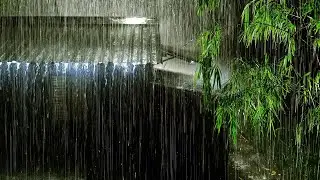 Heavy Rainstorm on Tin Roof, Powerful Thunder & Howling Wind Sounds on Stormy Night | White Noise