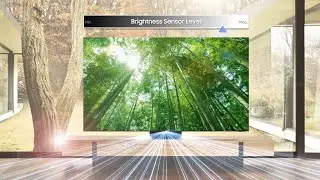 This World Environment Day, save energy with Samsung TVs | Samsung