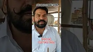 Nippy Bhai, Chahal Farm, Bhatinda #indianhorse #horse #studfarm #horse_market #horses