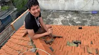 Kosan ambruk bosque | yutuber ceroboh ngancurin genteng kost the raid