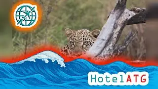 [HotelATG] Review Karongwe River Safari Lodge