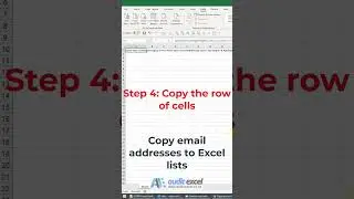Copy email address to an Excel list