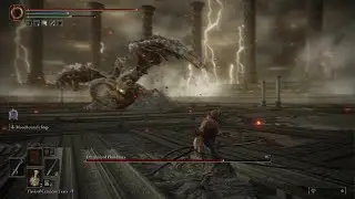 How to beat DragonLord Placidusax with Bloodhound's Step.(EASY TRICK)
