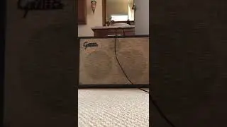 Gretsch Amp