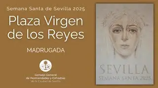 Plaza Virgen de los Reyes 2025 - Madrugada