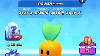 pocket champs unlimited chests-daily gift-tickets best hack.