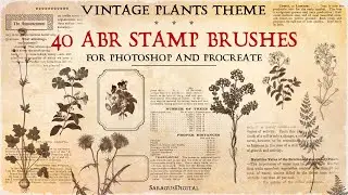 Vintage Botanical Stamps Brushes for Photoshop & Procreate, 40 Retro Plant Science Illustrations
