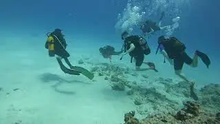 Weekend Scuba Diving in Mauritius with Roger